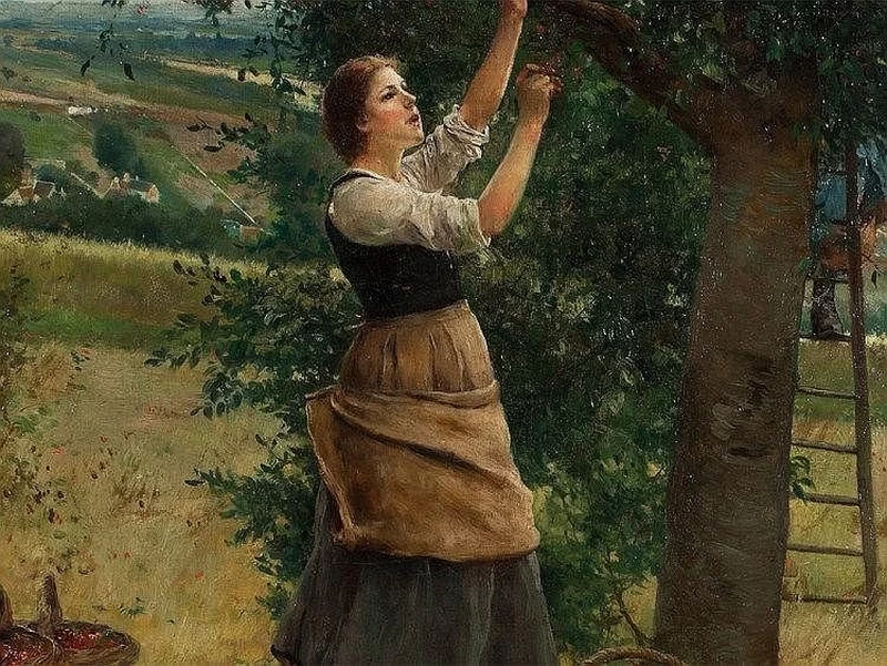 Luis Jiménez Aranda - Raccolta delle ciliegie